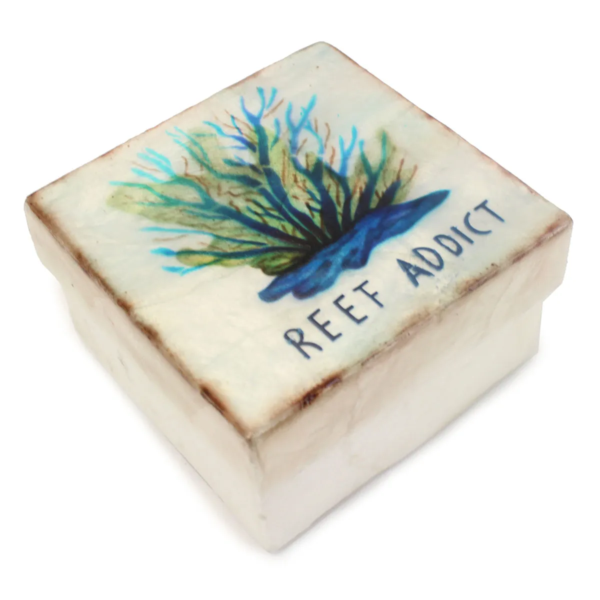 3 in. Capiz Reef Addict Trinket Box