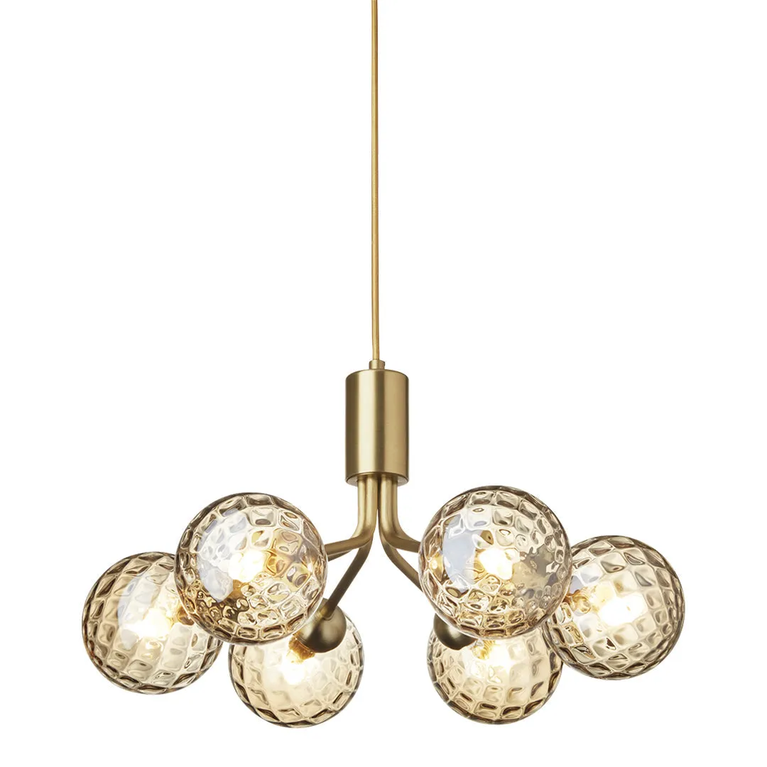 Apiales 6 Chandelier