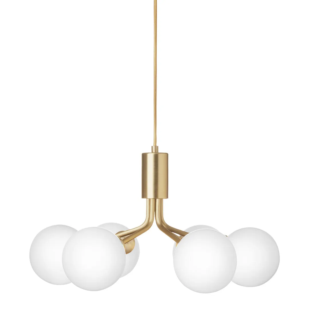 Apiales 6 Chandelier