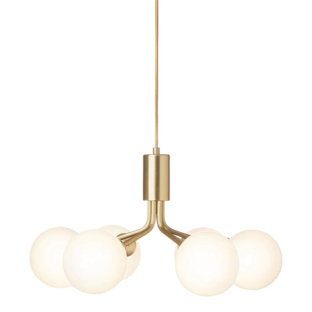 Apiales 6 Chandelier