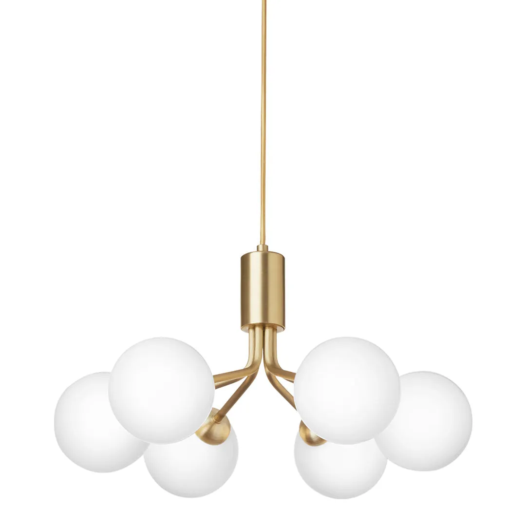 Apiales 6 Chandelier