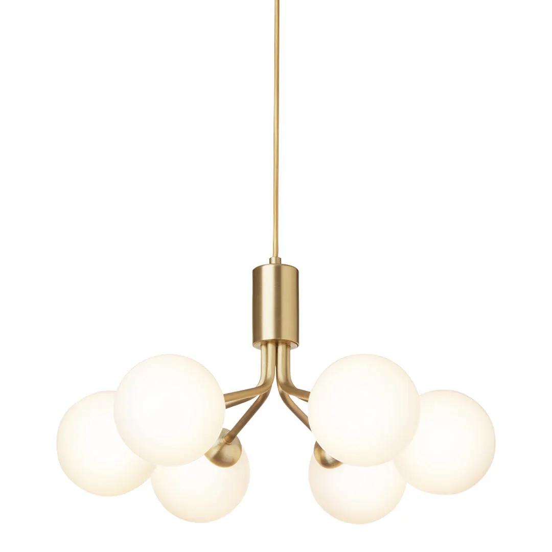 Apiales 6 Chandelier