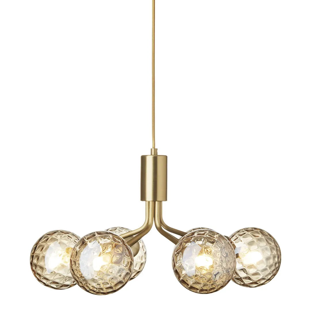 Apiales 6 Chandelier