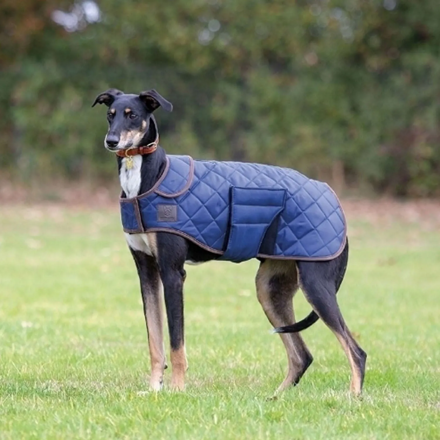 Digby & Fox Quilted Dog Coat