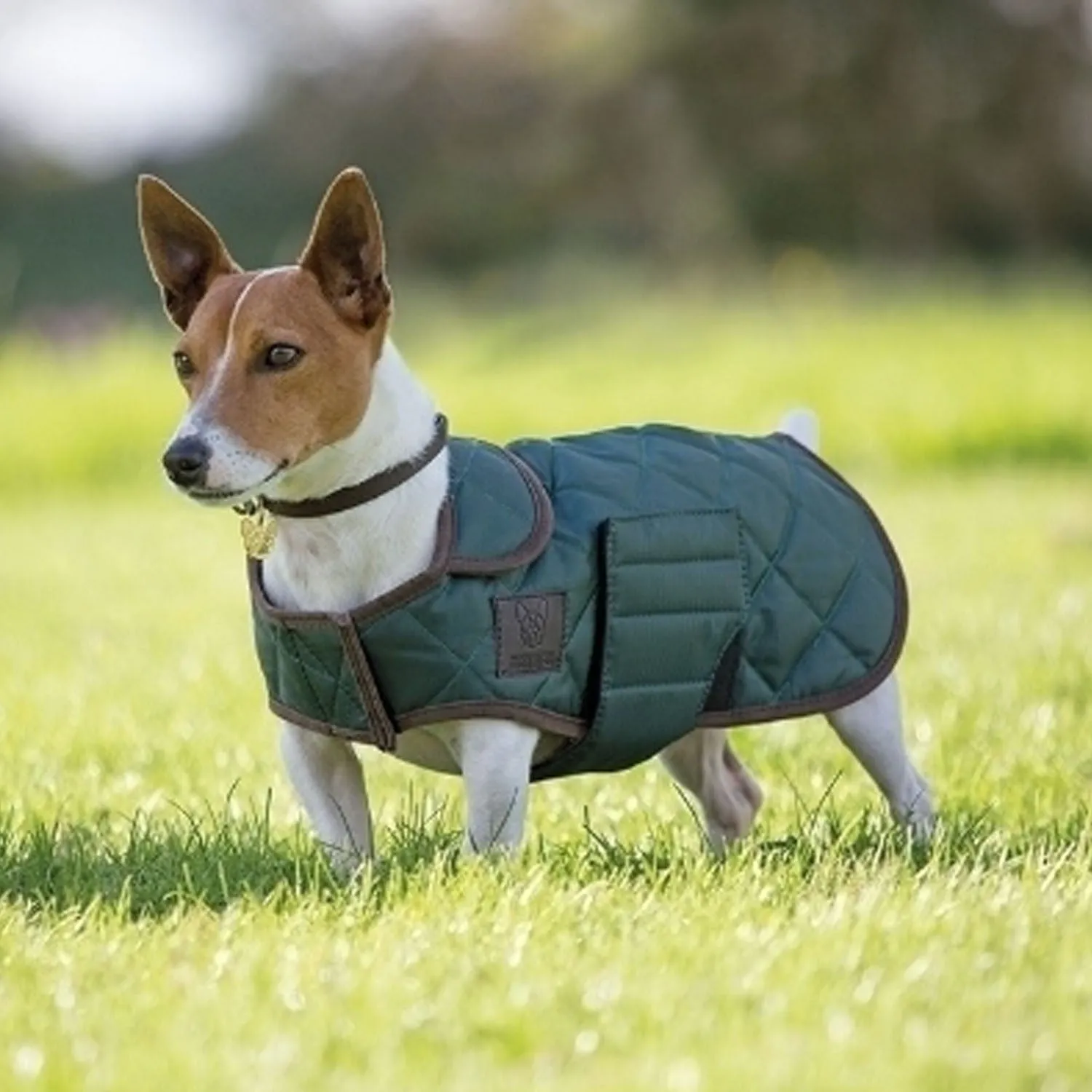 Digby & Fox Quilted Dog Coat