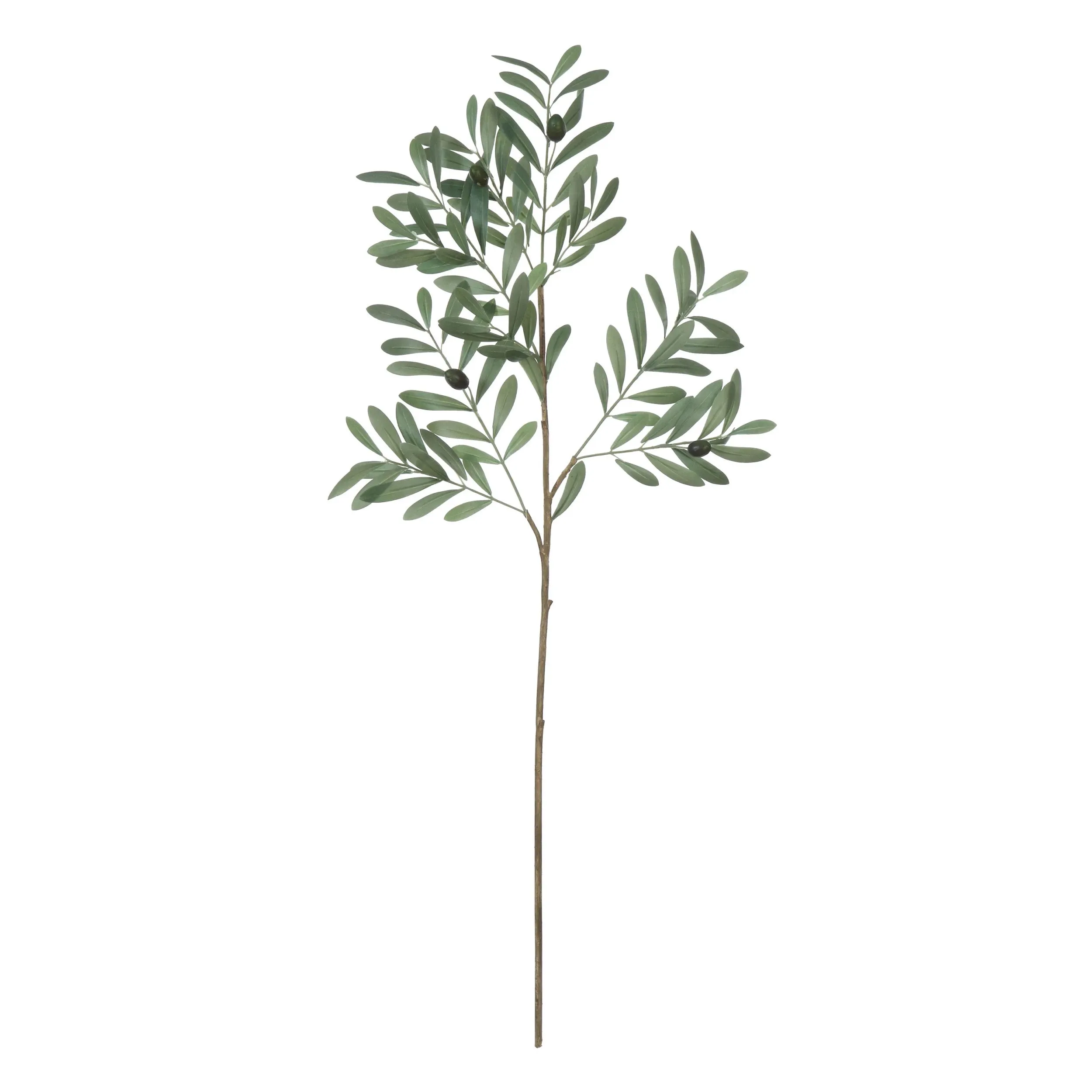 Faux Olive Branch