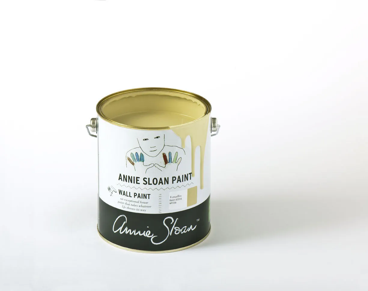 Versailles Annie Sloan Wall Paint