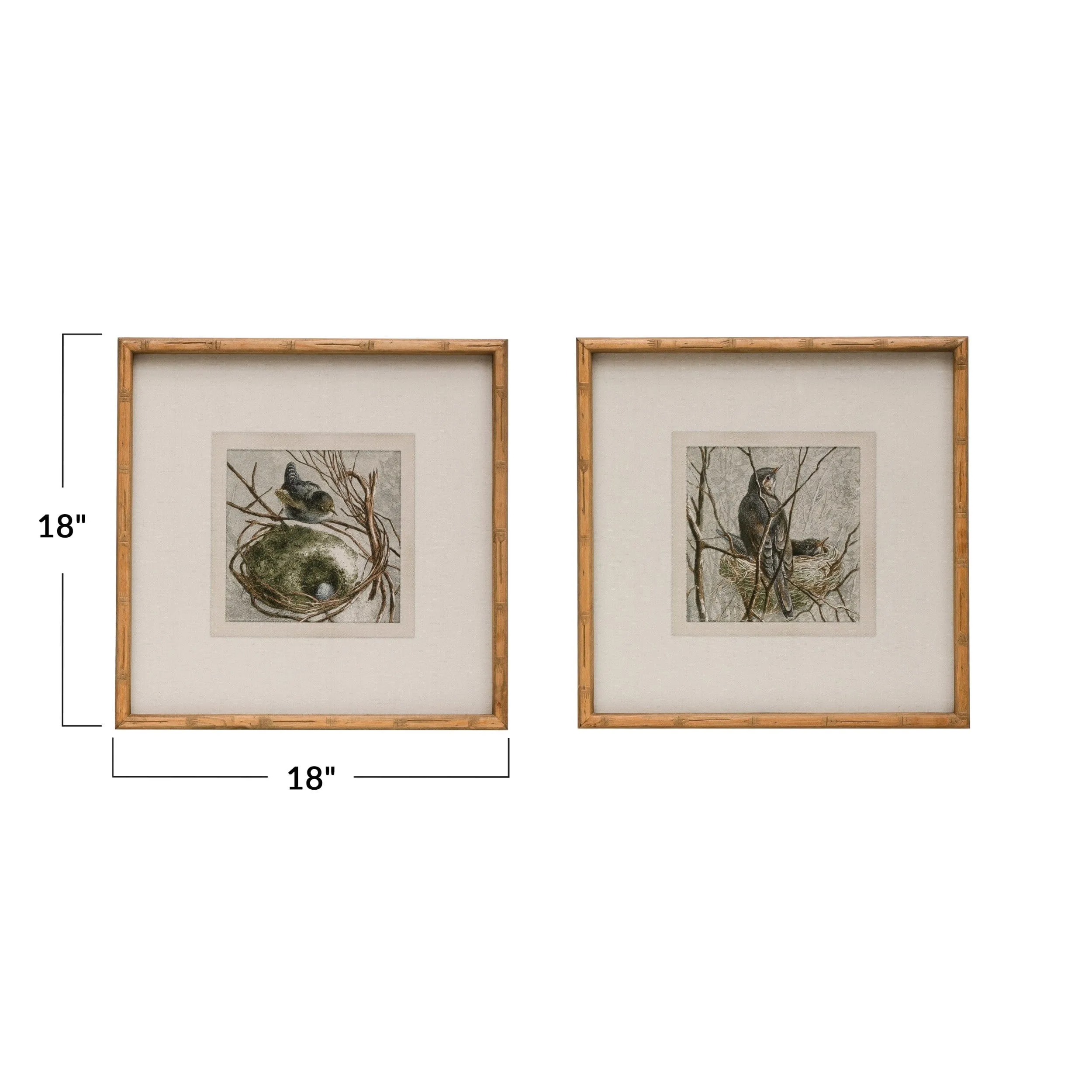 Wood Framed Wall Decor with Bird & Nest, 2 Styles